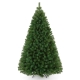 Christmas Tree AMB0055756-G